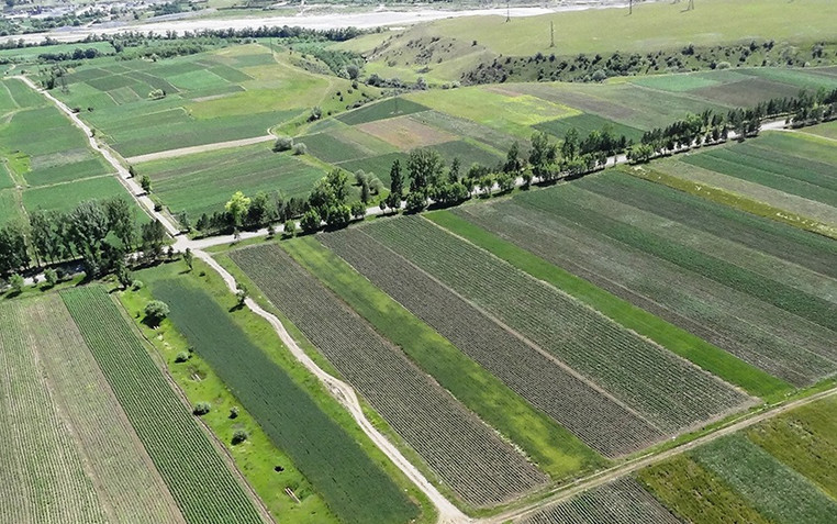 32131 1 новости Департамент автомобильных дорог, министр экономики и устойчивого развития Грузии, Тержола