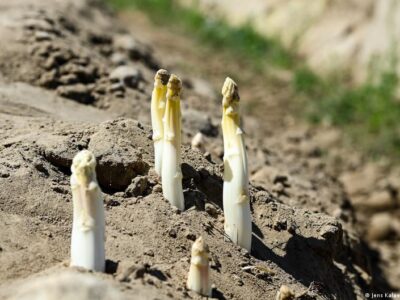 65499699 403.jpg Deutsche Welle бавария