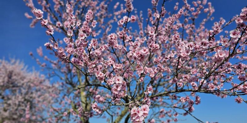 68490703 403.jpg Deutsche Welle германия