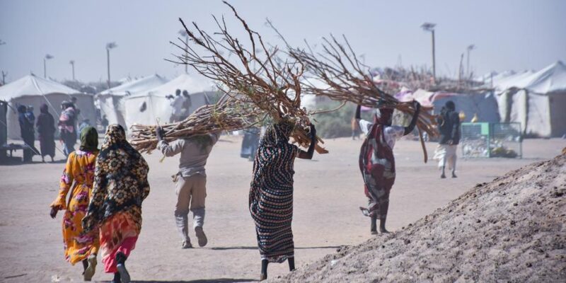 76470971 403.jpg Deutsche Welle ВОЗ, Тедрос Адханом Гебрейесус