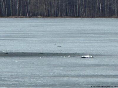 76507135 403 1.jpg 1 Deutsche Welle страны Балтии