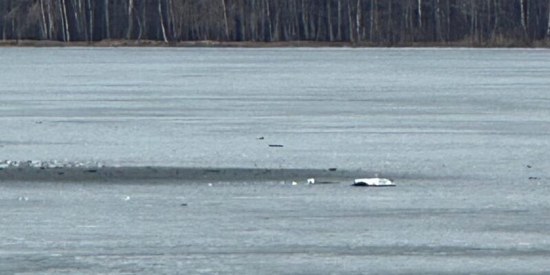 76507135 403.jpg Deutsche Welle МИД Литвы