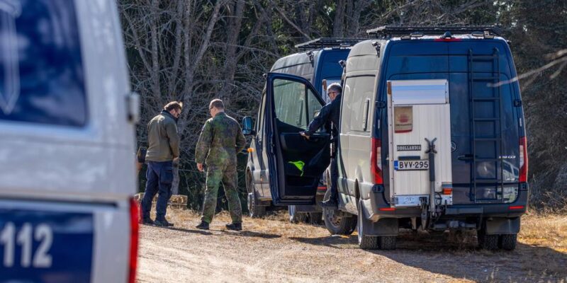 76584786 403.jpg Deutsche Welle Финляндия