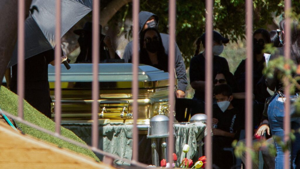 a88fc5f0 1716 11f1 befc 09f0999a306b.jpg BBC News Русская служба Эль Менчо