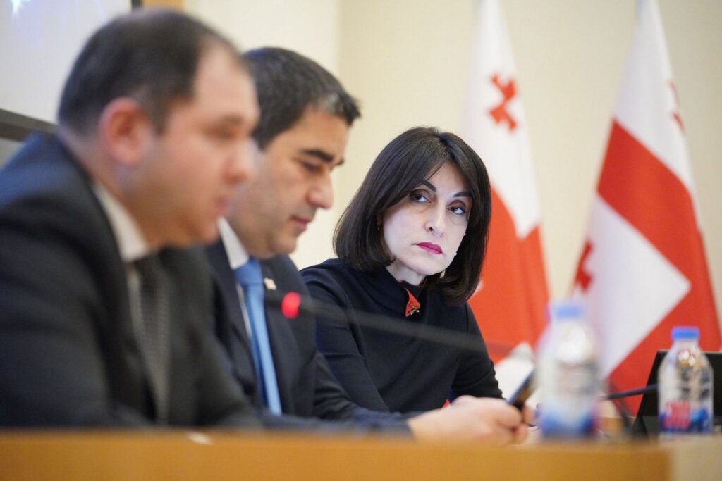 bochorishvili maka mmmmmmmmmmmmm новости Глава МИД Грузии, Грузия-ОБСЕ, Мака Бочоришвили, московский механизм, отчет "Московского механизма" ОБСЕ