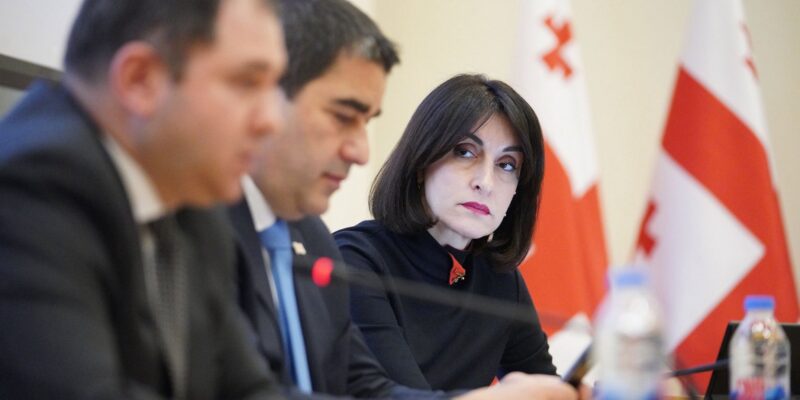 bochorishvili maka mmmmmmmmmmmmm новости Глава МИД Грузии, Грузия-ОБСЕ, Мака Бочоришвили, московский механизм, отчет "Московского механизма" ОБСЕ