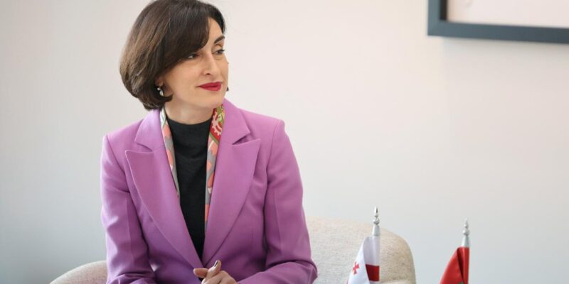 bochorishvili makamaka новости Глава МИД Грузии, грузия-ПА ОБСЕ, Мака Бочоришвили, Пере Хуан Понсо Сампьетро, политический диалог