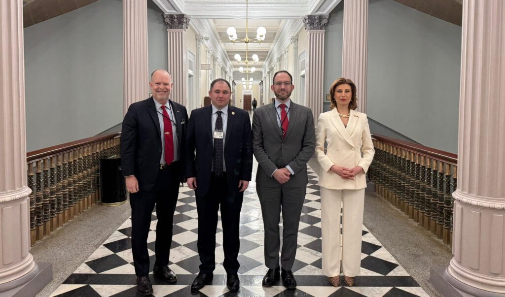 hcl8ivkxqaaeafs политика featured, Брендан Ханрахан, Грузия-США, Лаша Дарсалия, Мамука Мдинарадзе, Николоз Самхарадзе