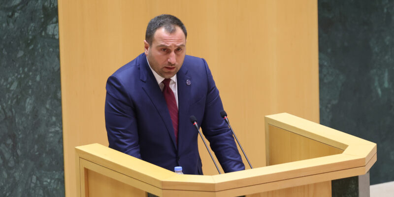 kircxalia новости Грузинская мечта, ираклий кирцхалия