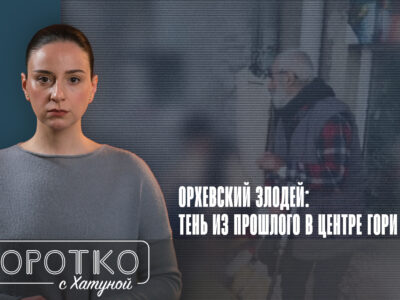 konji shorts thumbnale youtube 4 политика featured, криминал, Михаил Азаладзе, Орхевский маньяк, Судебный клан