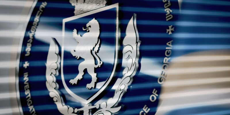 Следственная служба Минфина: по 7 уголовным делам задержаны 30 человек 1 mindifa sledsvennaya slujba новости задержание, мошенничество, Следственная служба Минфина Грузии, ущерб бюджету Грузии