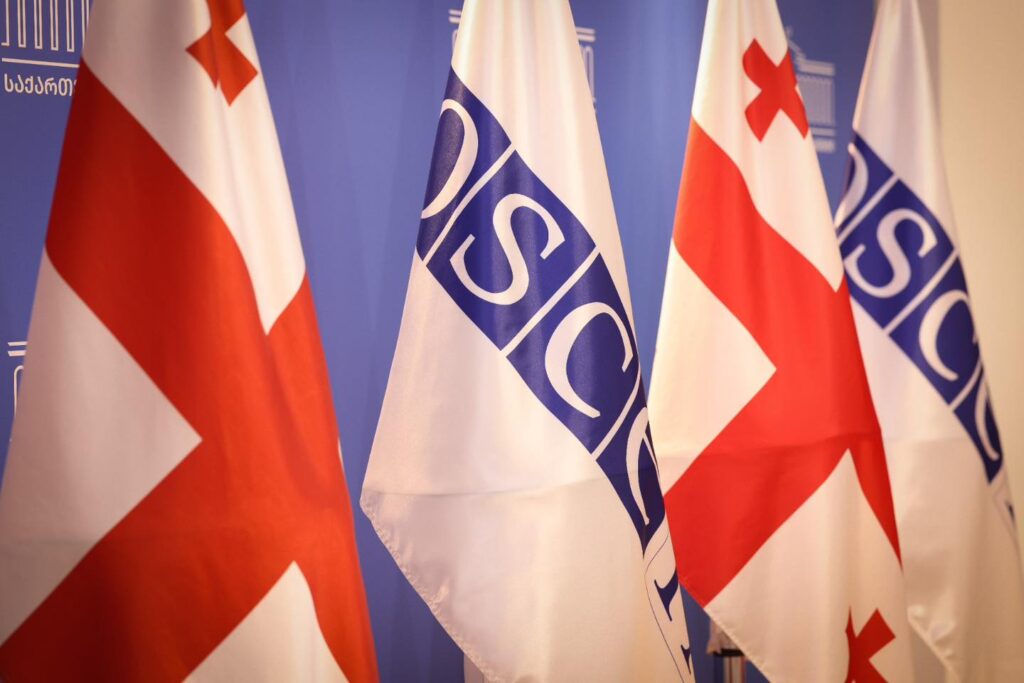 obse gruzia gruzia obse ocse новости Гела Геладзе, Леван Иоселиани, МВД Грузии, Михаил Кавелашвили, Омбудсмен Грузии, ПА ОБСЕ, Пере Хуан Понсо Сампьетро