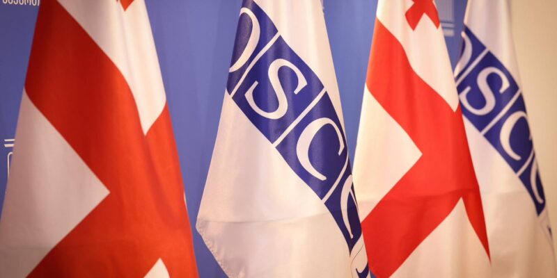 obse gruzia gruzia obse ocse новости Гела Геладзе, Леван Иоселиани, МВД Грузии, Михаил Кавелашвили, Омбудсмен Грузии, ПА ОБСЕ, Пере Хуан Понсо Сампьетро