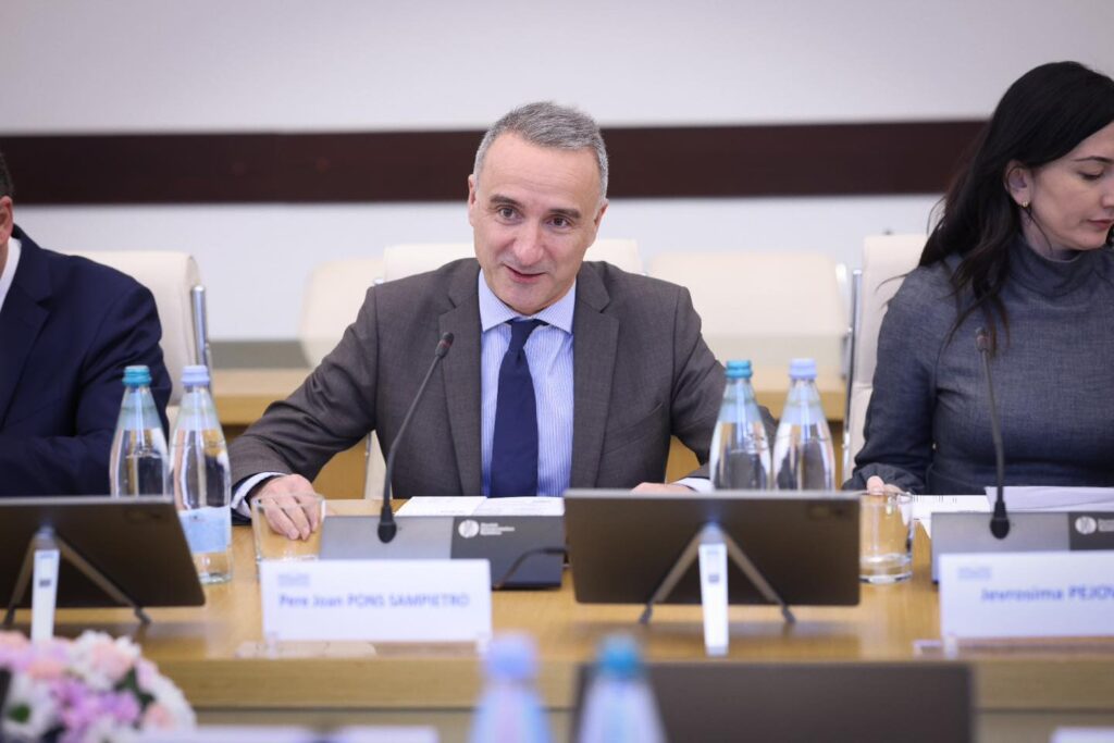 sampietro новости грузия-ПА ОБСЕ, Пере Хуан Понсо Сампьетро, Спикер парламента, Шалва Папуашвили