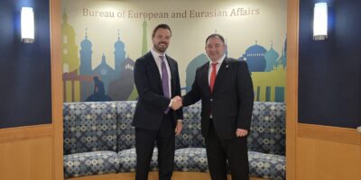 samxaradze 1 политика Брендан Ханрахан, Грузия-США, Николоз Самхарадзе, стратегическое партнерство