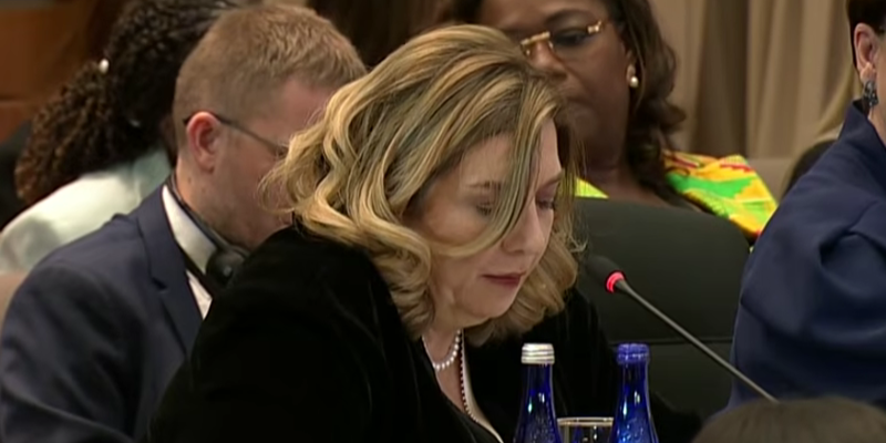 tamar bagrationi новости Белый дом, выступление, Михаил Кавелашвили, первая леди грузии, Тамар Багратиони