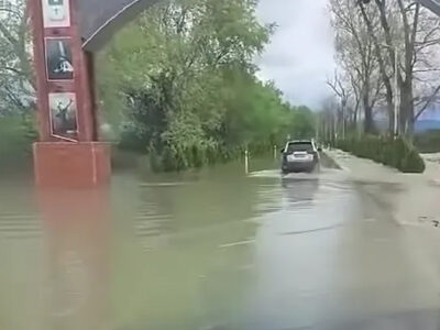 Фермер из Кахетии: ожидаем, что около 70% урожая будет потеряно 2 31321 новости Кахети, погода в Грузии, урожай, фермеры