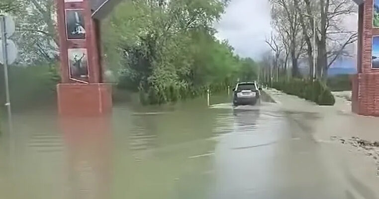 Kakheti Farmer: We Expect to Lose About 70% of the Harvest 1 31321 News