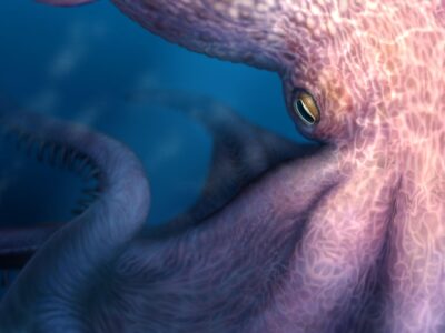 Крупный осьминог мраморно‑розового цвета, плывущий в темно‑синем море. У него большие щупальца, виден желтый глаз