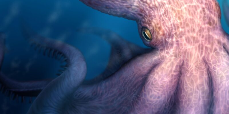 Крупный осьминог мраморно‑розового цвета, плывущий в темно‑синем море. У него большие щупальца, виден желтый глаз