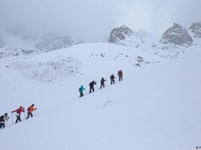 56709856 403.jpg Deutsche Welle ледники