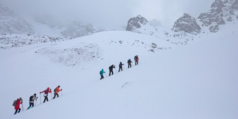 56709856 403.jpg Deutsche Welle ледники