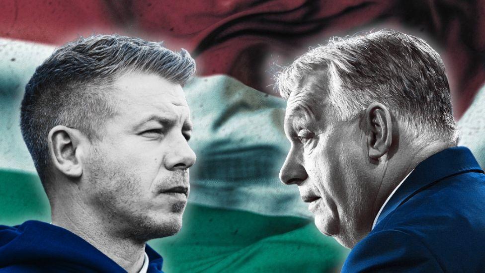 Самая странная избирательная система в мире. Пять неочевидных вещей, которые важно знать о выборах в Венгрии 1 5d421d70 342e 11f1 879d 1b2f5c3919b8.jpg Новости BBC Выборы в Венгрии