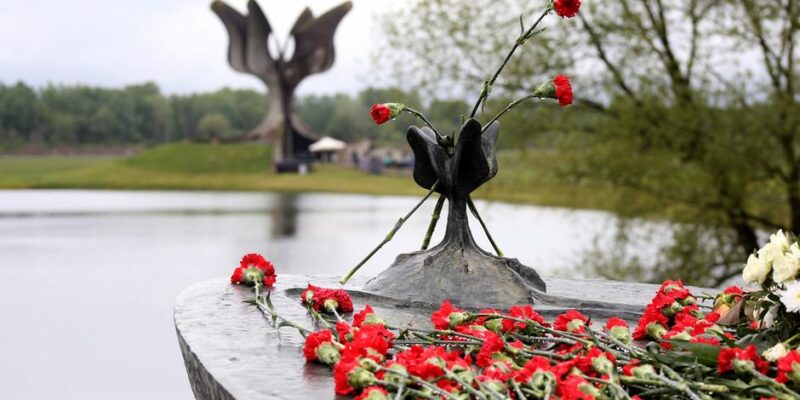 65050231 403.jpg Deutsche Welle Королевство Югославия, нацисты