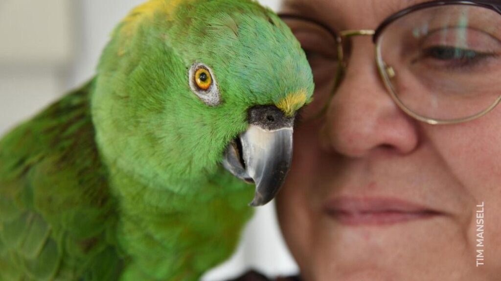 Джулия и Артуро