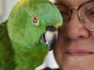 Джулия и Артуро