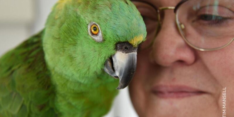 Джулия и Артуро