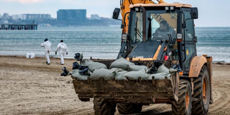 У Анапы от мазутного пятна в море погибли и пострадали более 800 птиц 1 71211927 403.jpg Deutsche Welle Анапа