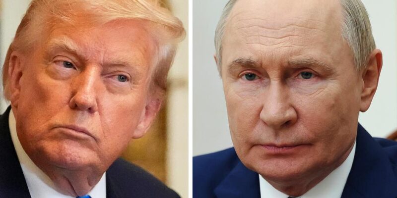 73563769 403.jpg Deutsche Welle путин-трамп