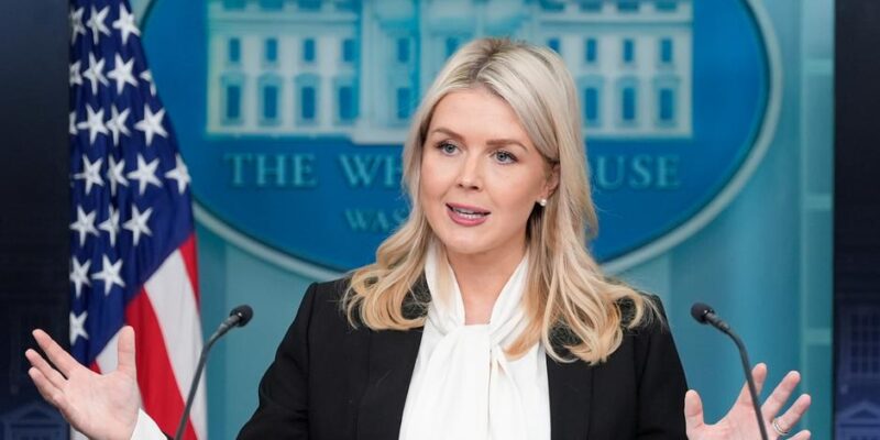 76255427 403.jpg Deutsche Welle выход из НАТО