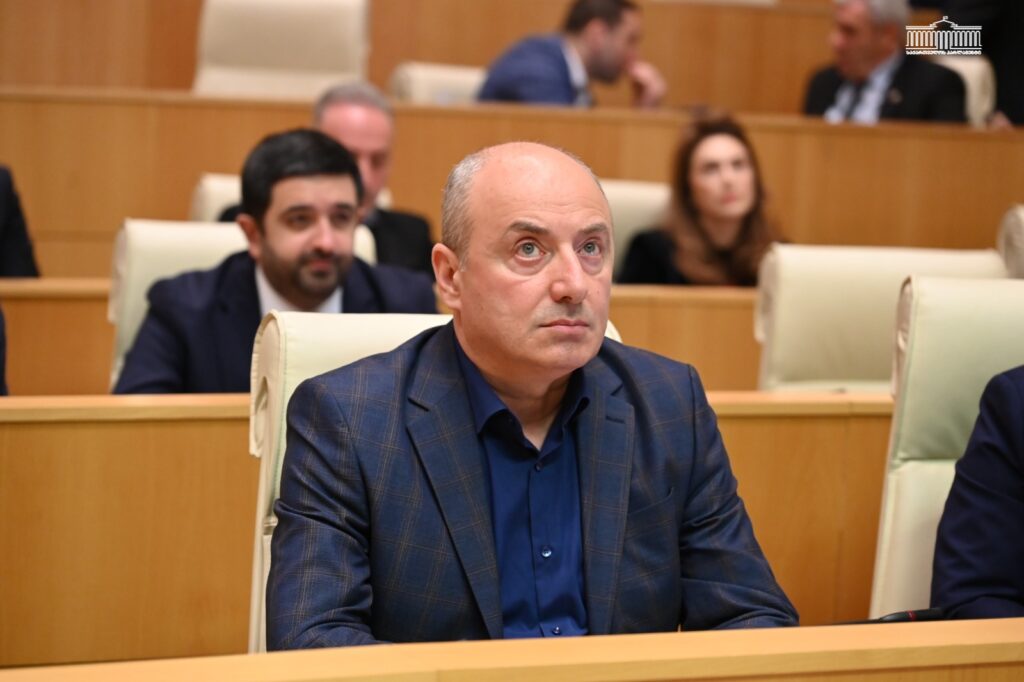 macharashvili новости Гурам Мачарашвили, закон о грантах, Сила народа