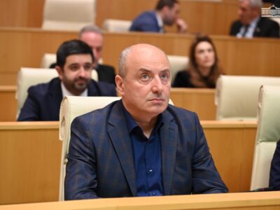 В закон "О грантах" вносятся не поправки, а уточнения по поводу средств дипмиссий 2 macharashvili новости Гурам Мачарашвили, закон о грантах, Сила народа