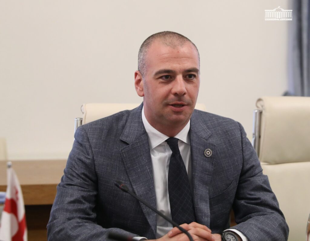 Депутат "Мечты": заявление будущего премьера Венгрии приветствуется 1 machavariani e1776154026419 новости Грузия-Венгрия, Леван Мачавариани, Петер Мадьяр