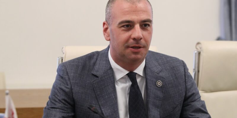 "Dream" MP: Statement by Hungary's future Prime Minister is welcomed 1 machavariani e1776154026419 News