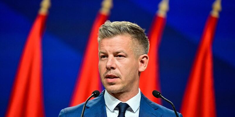 madiar новости Выборы в Венгрии, Грузия-Венгрия, Петер Мадьяр, премьер Венгрии