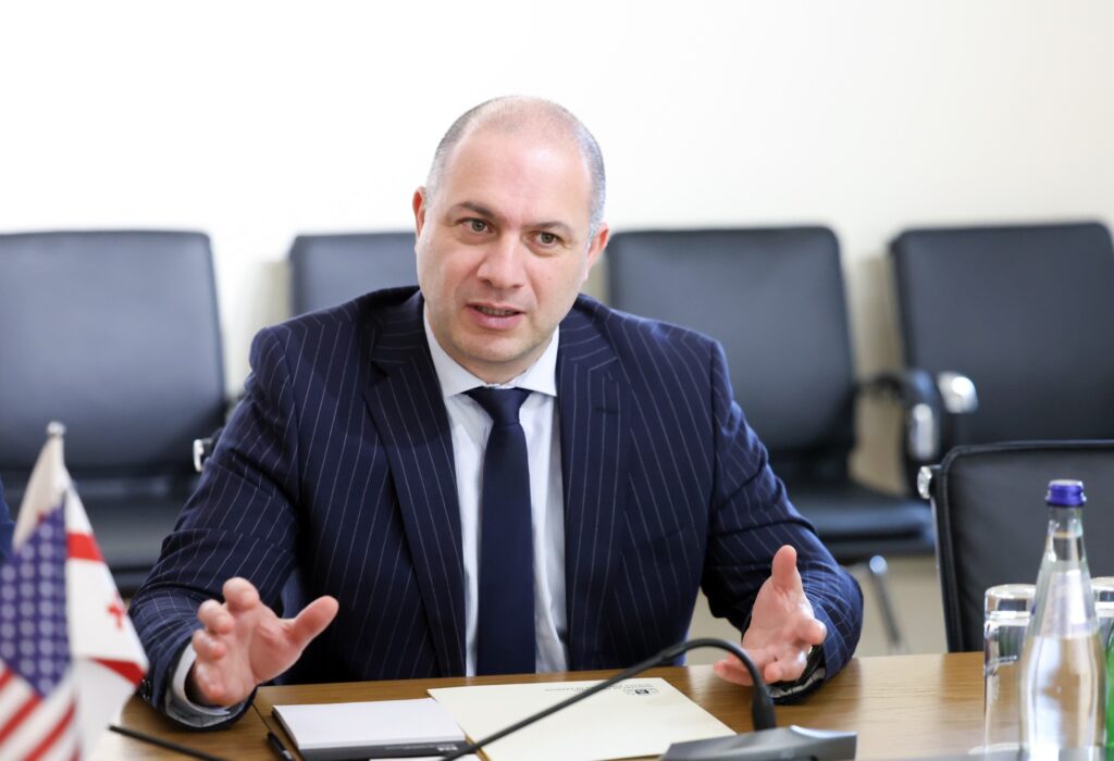 mikanadze новости ECOSOC, ECOSOC Youth Forum, Гиви Миканадзе, Госдеп США, Грузия-США