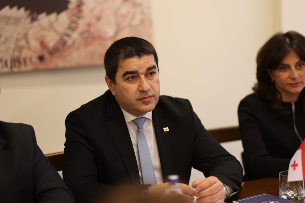 papuashvili shalva sh новости Грузия-ЕС, парламентские выборы в Грузии, Спикер парламента, Шалва Папуашвили