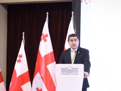 papuashvili stoit flagi новости запрет партий, Конституционный суд Грузии, партия "Федералисты", Спикер парламента, Тамар Черголеишвили, Шалва Папуашвили