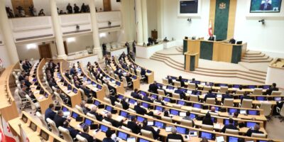 parlament общество О трудовой миграции, парламент Грузии