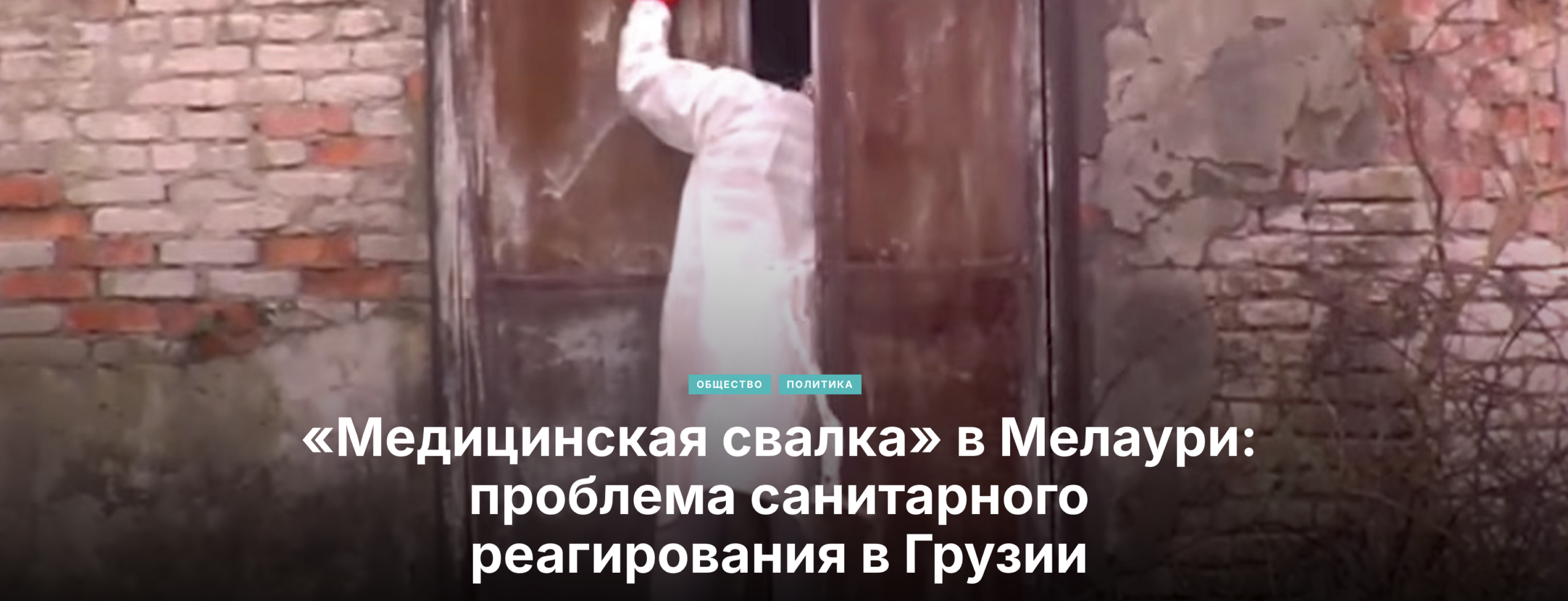 snimok ekrana 2026 04 02 v 23.16.14 scaled общество featured, бездомные собаки, Тамаз Элизбарашвили