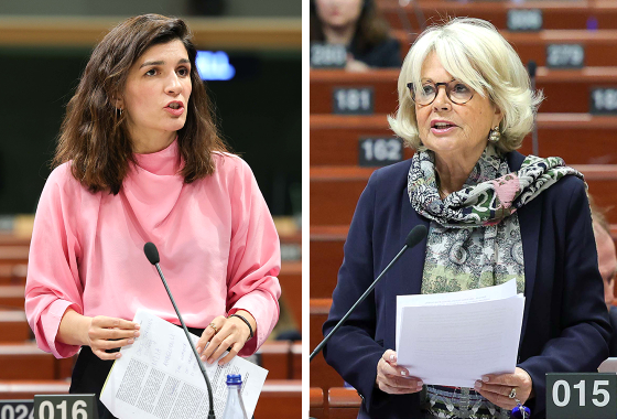 PACE Committee Warns of Continued Democratic Backsliding and Repression in Georgia 1 10300 News