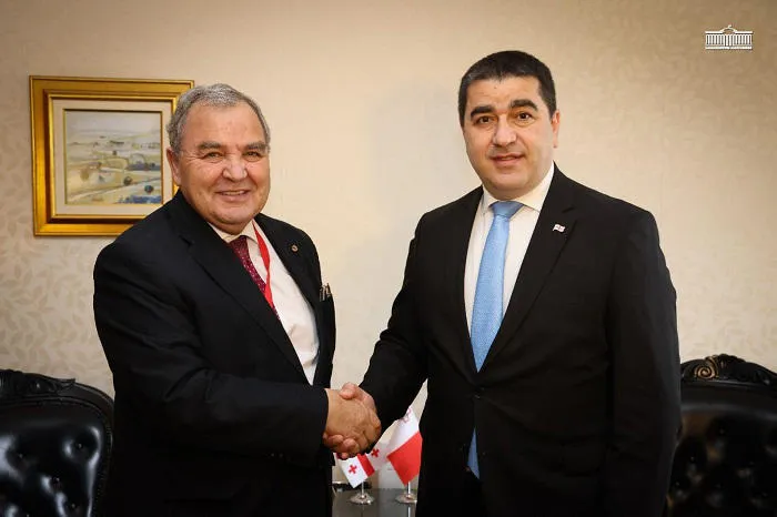 32131 новости грузия-мальта, Спикер парламента, Шалва Папуашвили