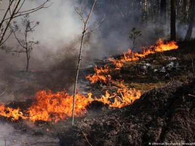 В Чернобыльской зоне вспыхнул масштабный пожар после российской атаки 4 77094719 403.jpg Deutsche Welle Deutsche Welle