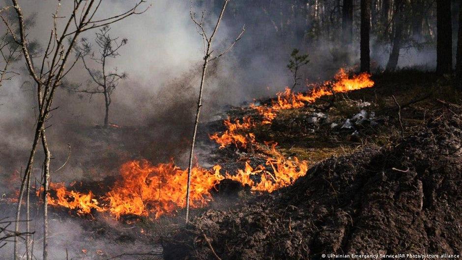 В Чернобыльской зоне вспыхнул масштабный пожар после российской атаки 1 77094719 403.jpg Deutsche Welle пожар