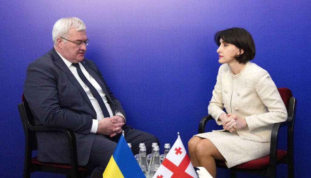 bochorishvili sibiga e1778853290155 новости Бочоришвили-Сибига, Грузия-Украина, Мака Бочоришвили, МИД Грузии