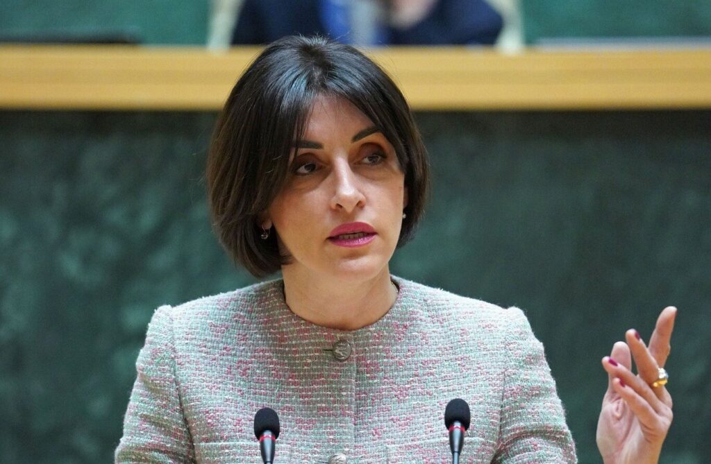 bochorishvili parlament e1778786918479 новости Комитет министров Совета Европы, Мака Бочоришвили, МИД Грузии